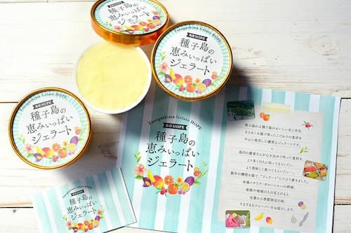 種子島恵みジェラートミニカップセット6個セット【ご自宅用】